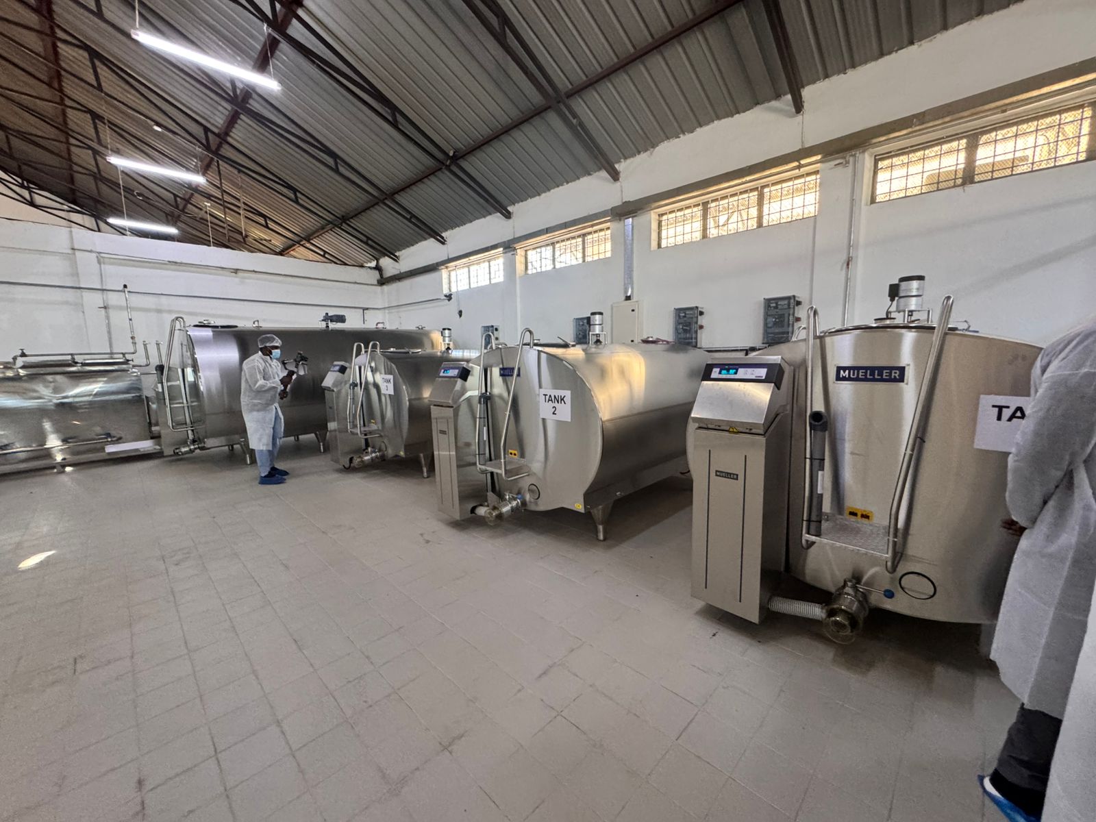 Double 10 Milking Parlor Image 2
