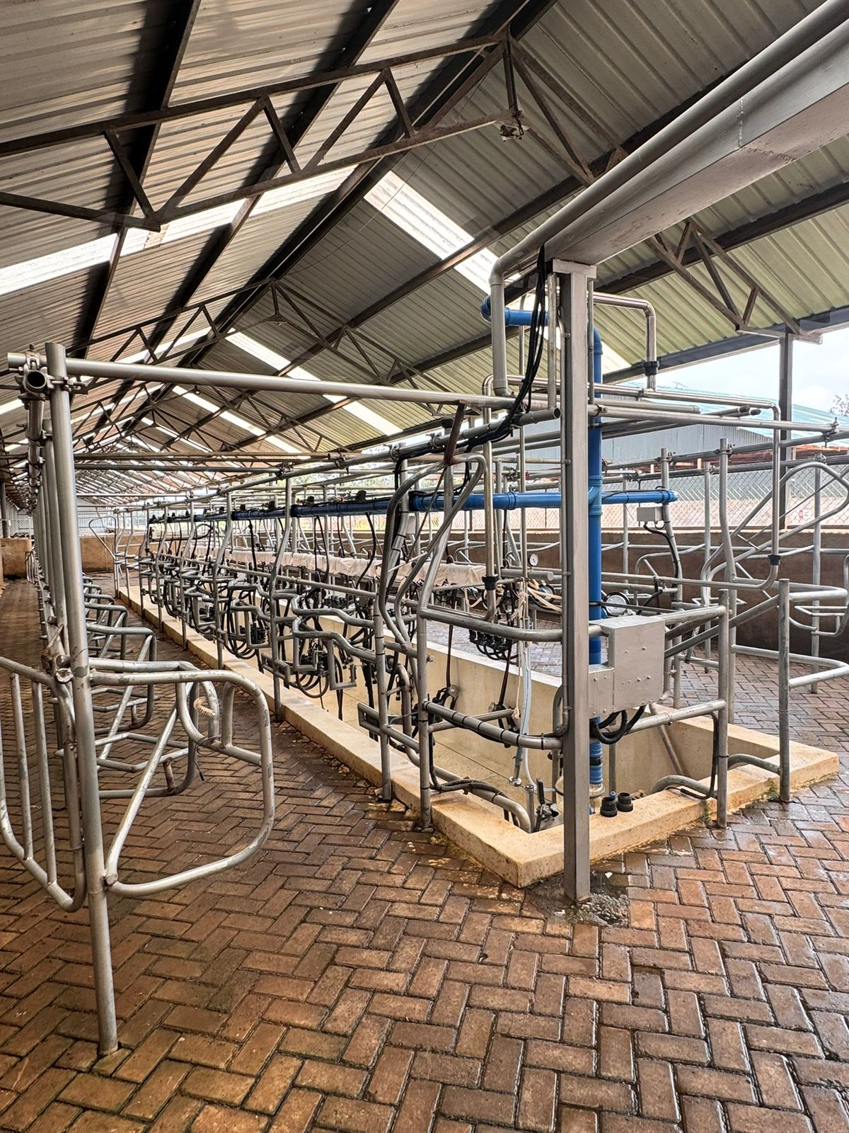 Double 10 Milking Parlor Image 2