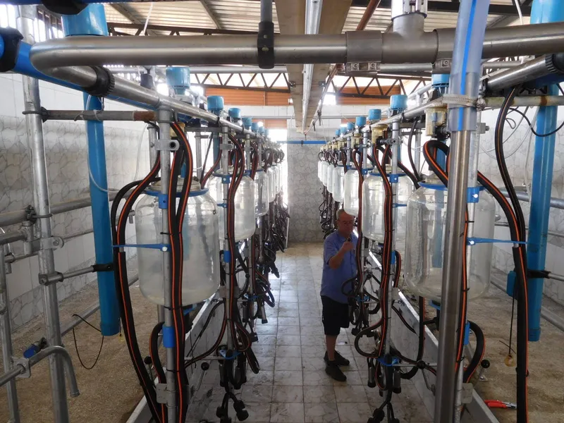 Milking Parlors